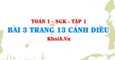 Bài 3 trang 13 Toán 12 tập 1 Cánh Diều